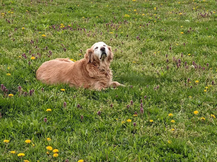 Byland Animal Hospital Picture 8