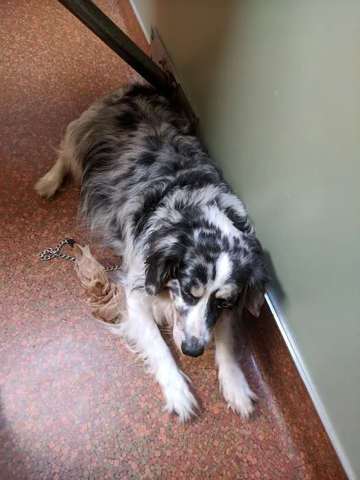 Byland Animal Hospital Picture 2