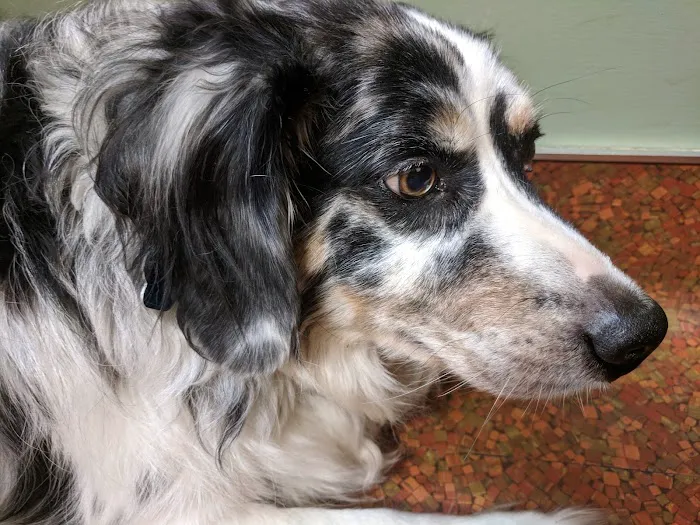 Byland Animal Hospital Picture 6