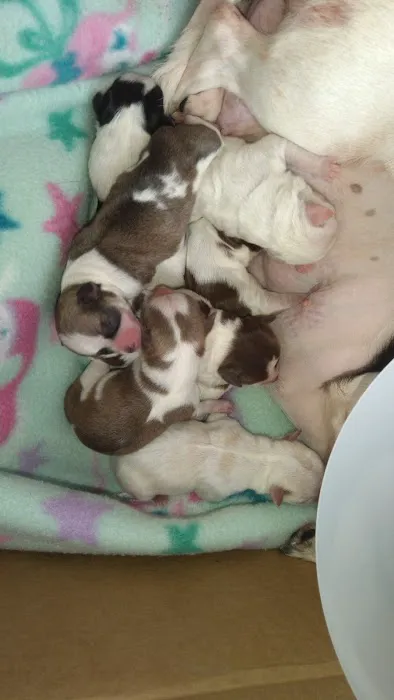 Byland Animal Hospital Picture 4