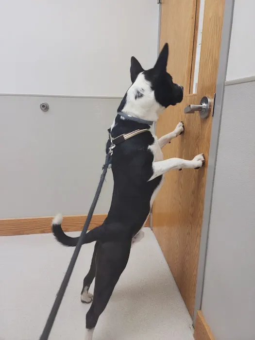 Willard Veterinary Clinic Picture 5