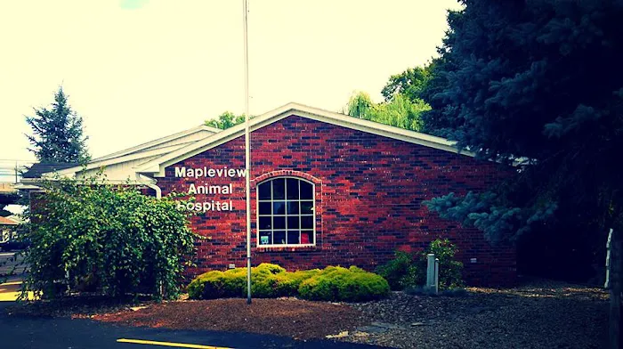 Mapleview Animal Hospital Picture 8