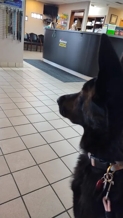 Mapleview Animal Hospital Picture 9