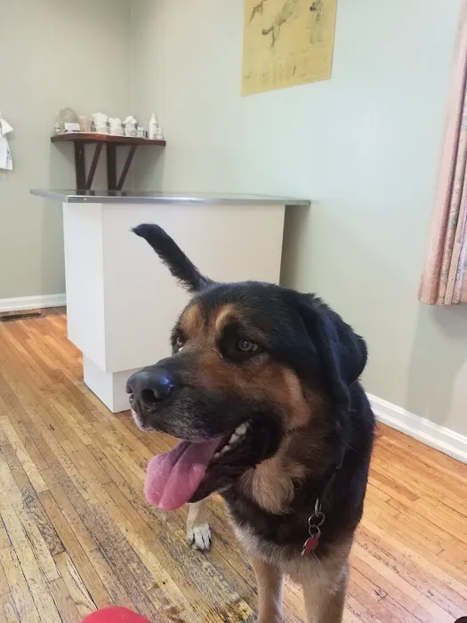 Worner Veterinary Hospital Picture 5