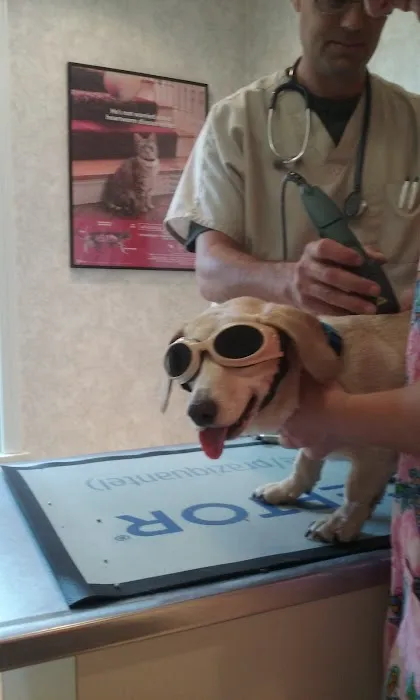 Worner Veterinary Hospital Picture 6