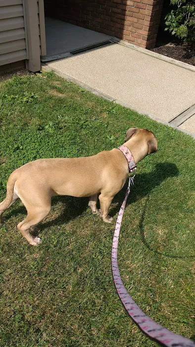 Lilac Hill Veterinary Hospital Picture 7