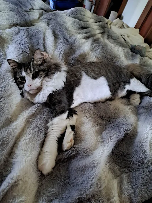 Lilac Hill Veterinary Hospital Picture 3