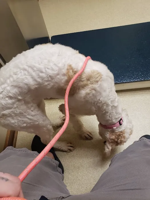 Lilac Hill Veterinary Hospital Picture 5
