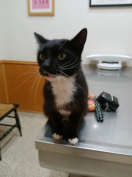 Dr Laurie J Hickox Mansfield Veterinary Hospital Picture 5