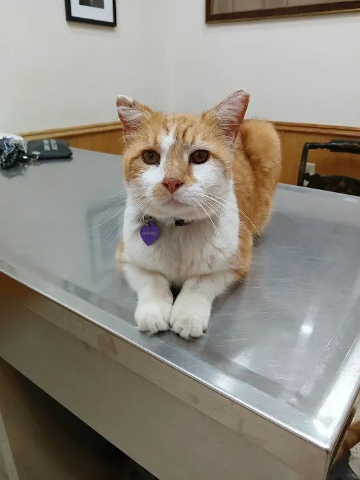 Dr Laurie J Hickox Mansfield Veterinary Hospital Picture 1