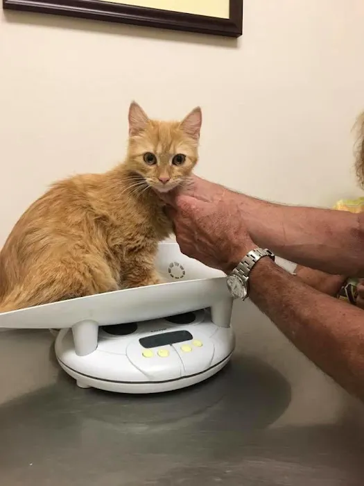 Dr Laurie J Hickox Mansfield Veterinary Hospital Picture 10