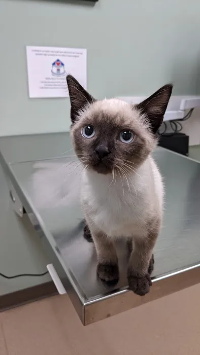 Appleseed Valley Veterinary Hospital Picture 6