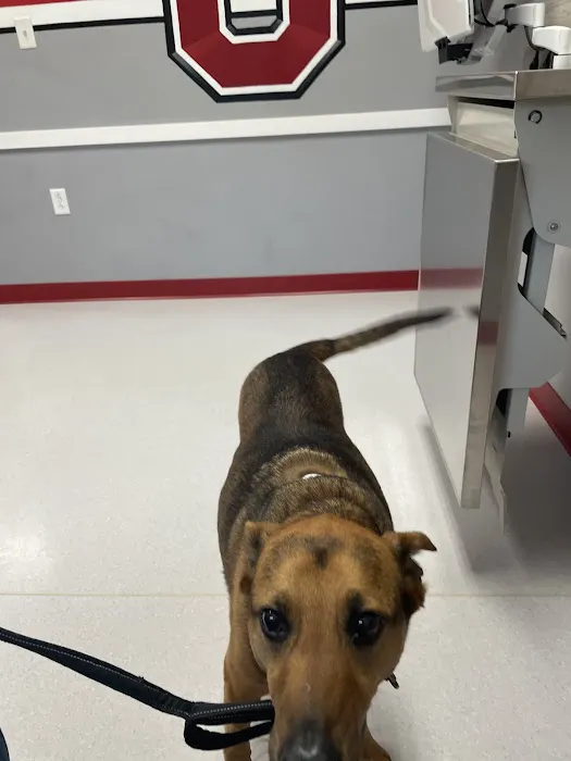 Appleseed Valley Veterinary Hospital Picture 4