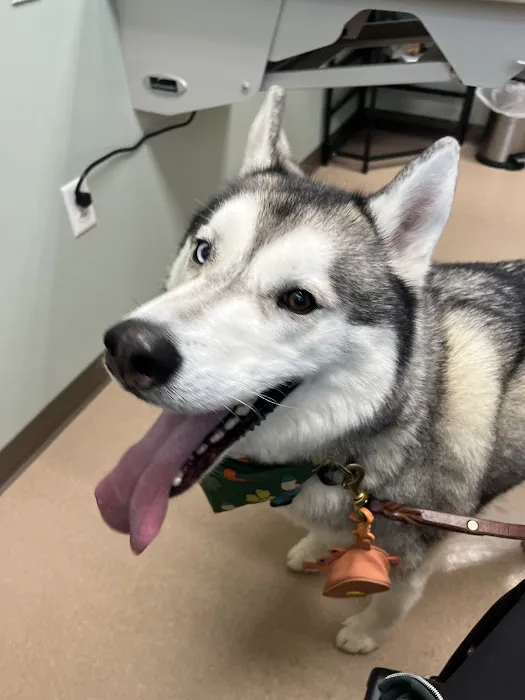 Appleseed Valley Veterinary Hospital Picture 1