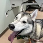 Appleseed Valley Veterinary Hospital