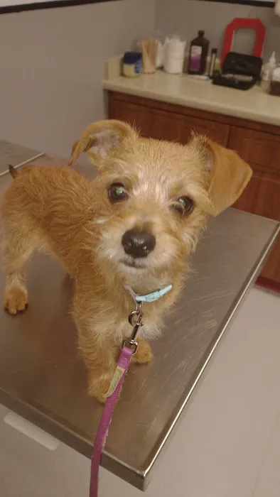 Appleseed Valley Veterinary Hospital Picture 8