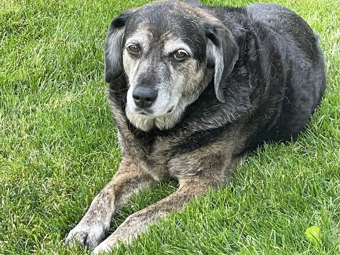 Appleseed Valley Veterinary Hospital Picture 9