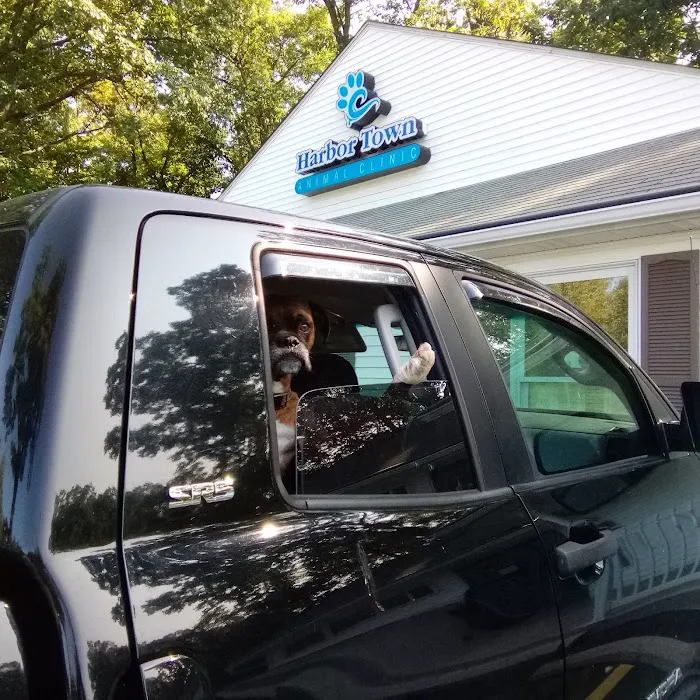 Harbor Town Animal Clinic Picture 4