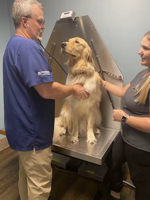 Harbor Town Animal Clinic Picture 5