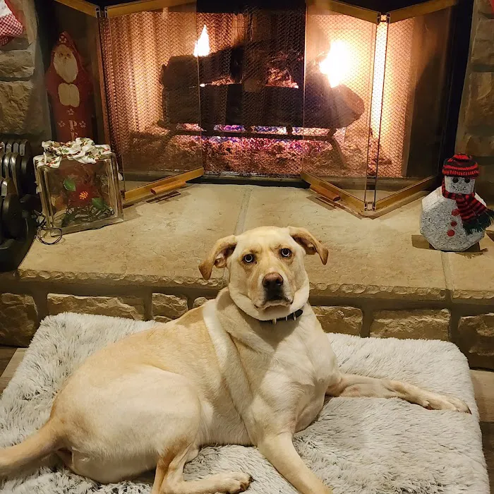 Ridgeville Animal Hospital Picture 8