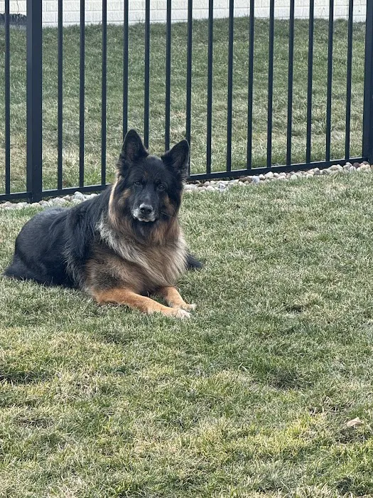 Ridgeville Animal Hospital Picture 10