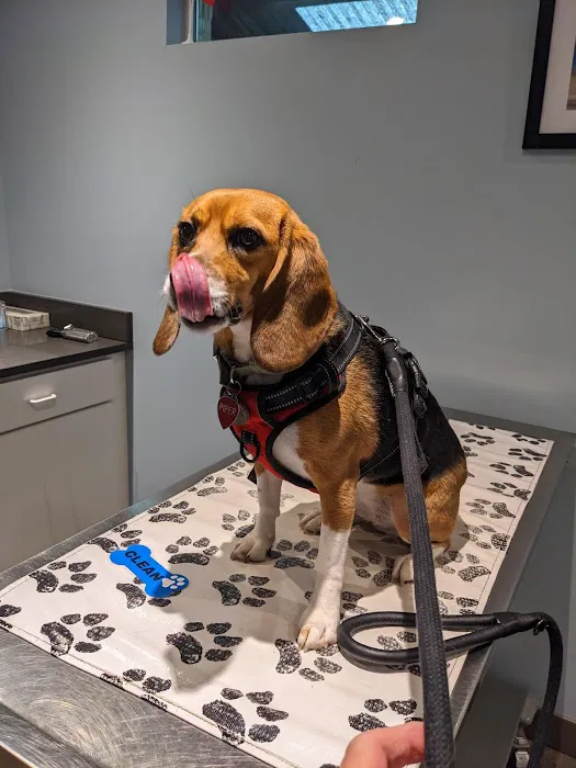 Ridgeville Animal Hospital Picture 7
