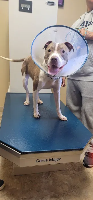 VERMILION VETERINARY CLINIC Picture 10