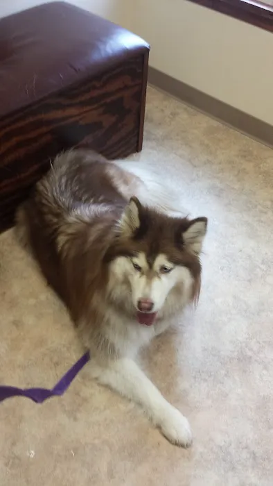 Firelands Animal Hospital Inc Picture 1