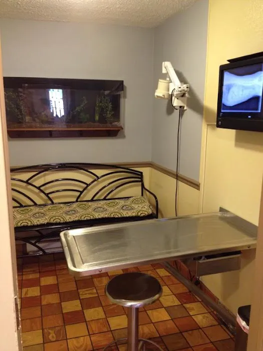 Avon Animal Hospital Picture 5