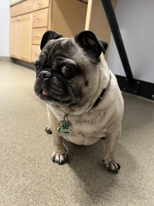Lucerne Veterinary Hospital Picture 7