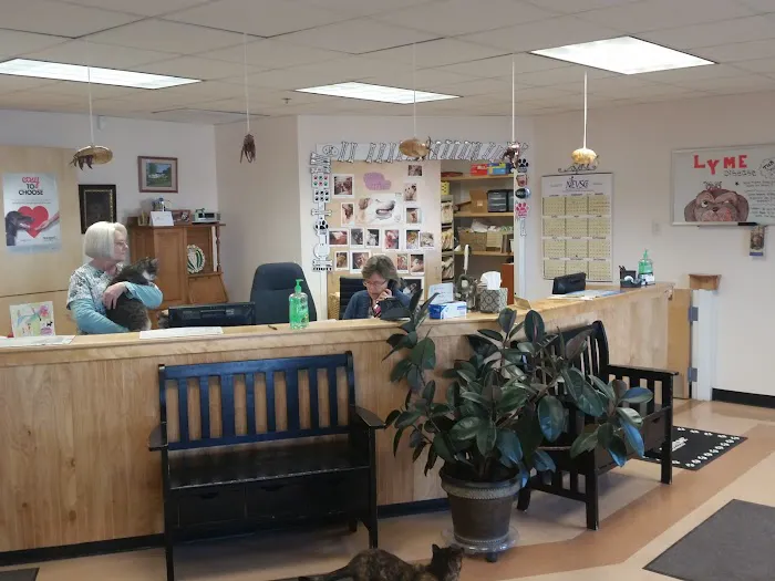 Hampden Veterinary Clinic Picture 10