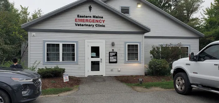 Eastern Maine Emergency Veterinary Picture 6