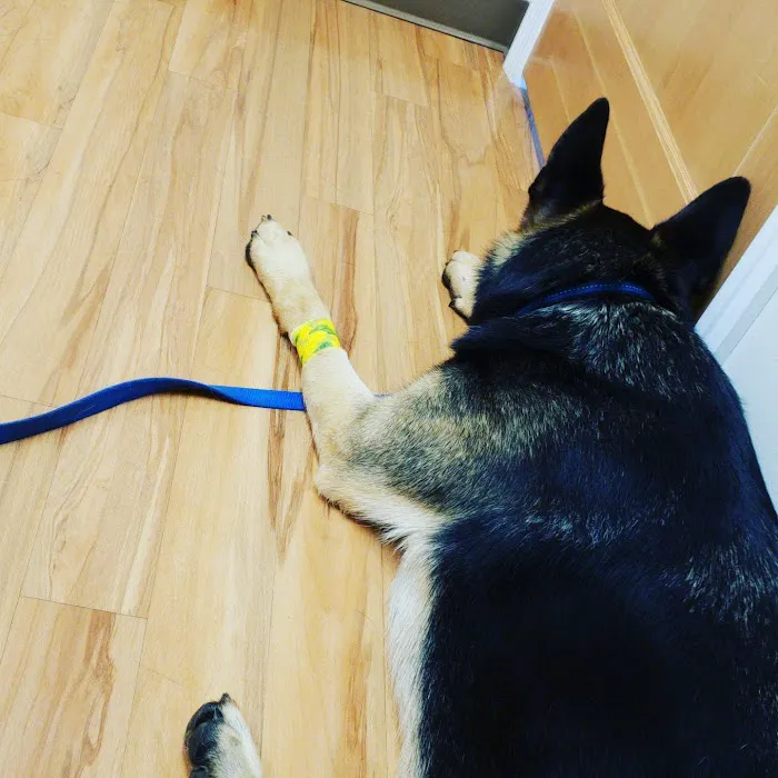 Brewer Veterinary Clinic Picture 2