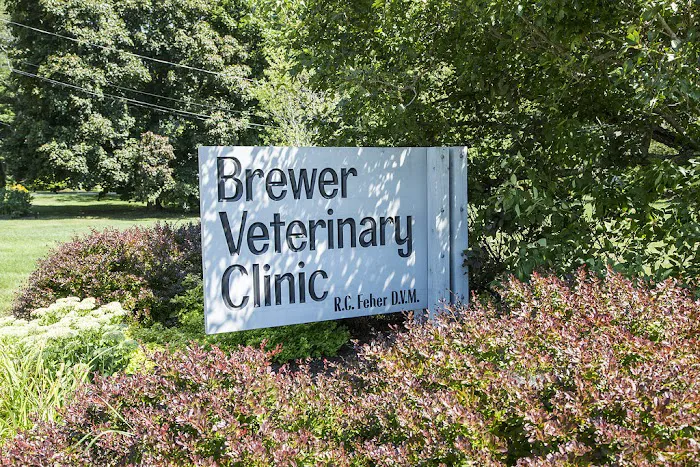 Brewer Veterinary Clinic Picture 3