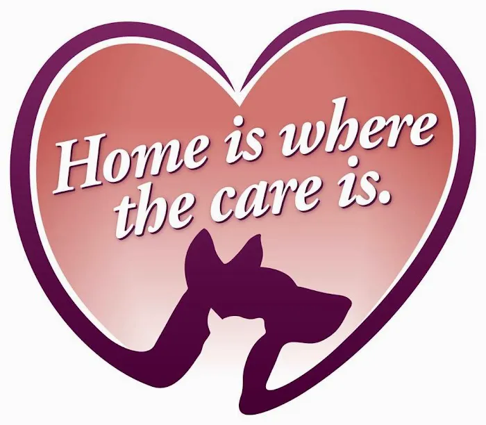 Tori Weston Housecall Veterinarian Picture 1