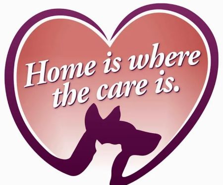Tori Weston Housecall Veterinarian