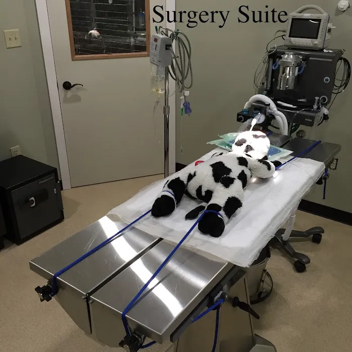 Ellsworth Family Veterinary Clinic Picture 7