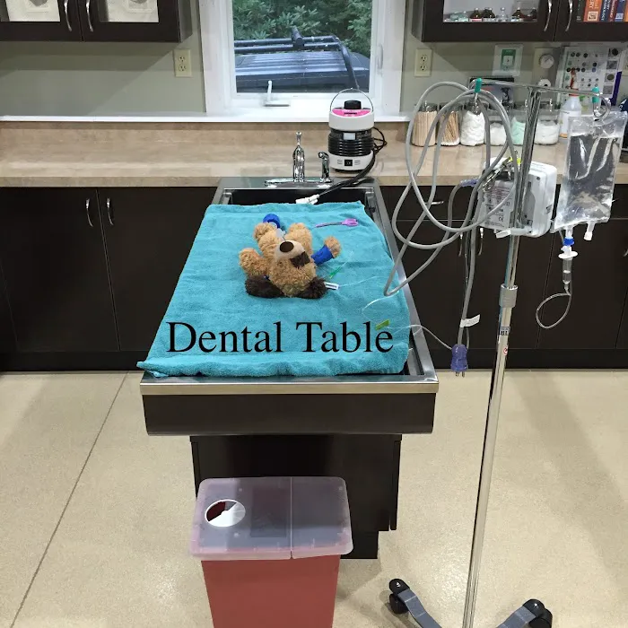 Ellsworth Family Veterinary Clinic Picture 10