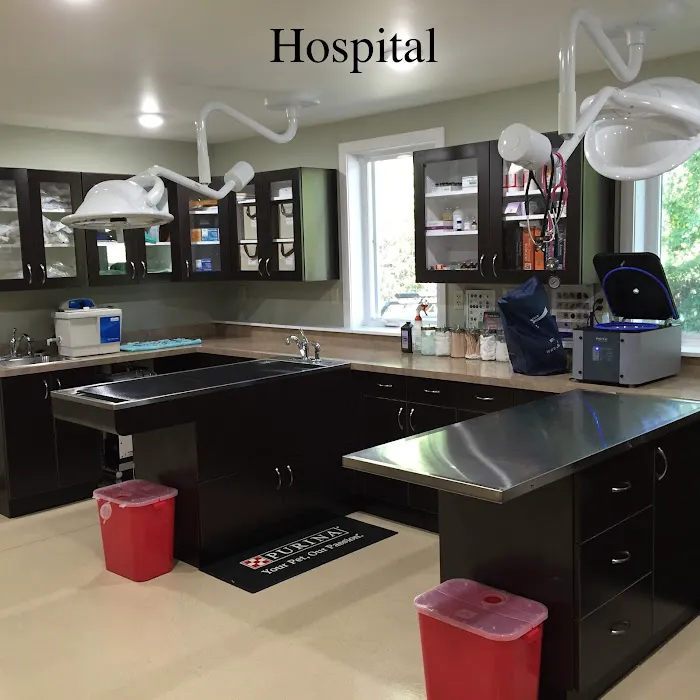 Ellsworth Family Veterinary Clinic Picture 3