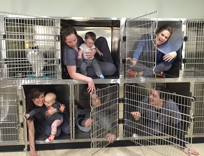 Ellsworth Family Veterinary Clinic Picture 1