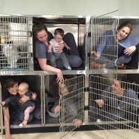 Ellsworth Family Veterinary Clinic ico
