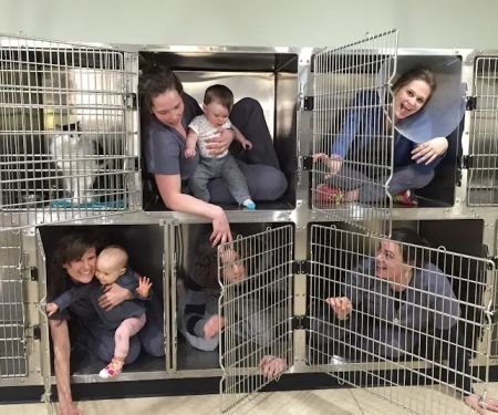 Ellsworth Family Veterinary Clinic