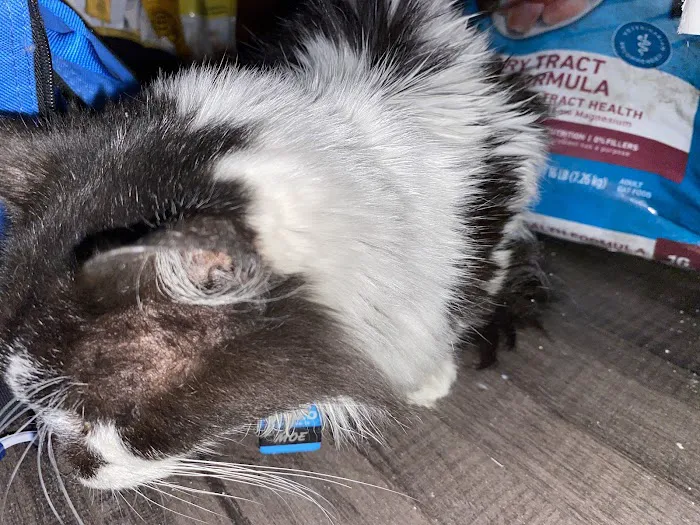 Small Animal Clinic Picture 8