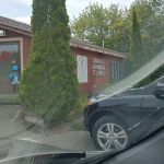 Small Animal Clinic