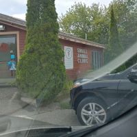 Small Animal Clinic ico