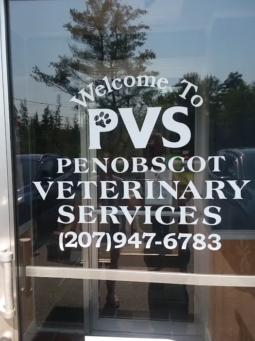 Penobscot Veterinary Services: Thomas Diana DVM Picture 6