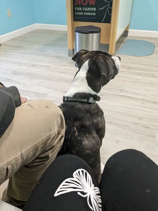 Oceanside Animal Hospital Picture 6