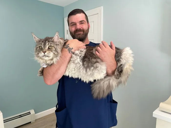 Oceanside Animal Hospital Picture 9
