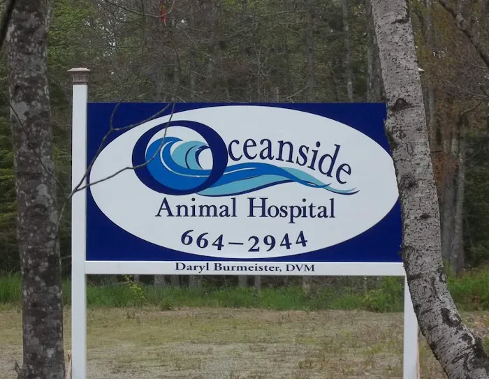 Oceanside Animal Hospital Picture 1