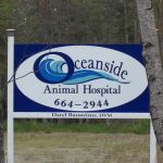 Oceanside Animal Hospital